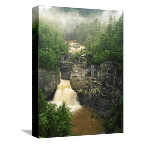 Linville Falls, Linville Gorge, Pisgah National Forest, North Carolina, USA, Botanical Scenic Stretched Canvas Wall Art by Adam Jones Sold by Art.Com
