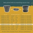 thumbnail image 4 of Bloem 14-in Terra Round Resin Planter - Charcoal Gray (Saucer Not Included), 4 of 7
