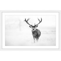 Marmont Hill "Elk Stare" Framed Painting Print