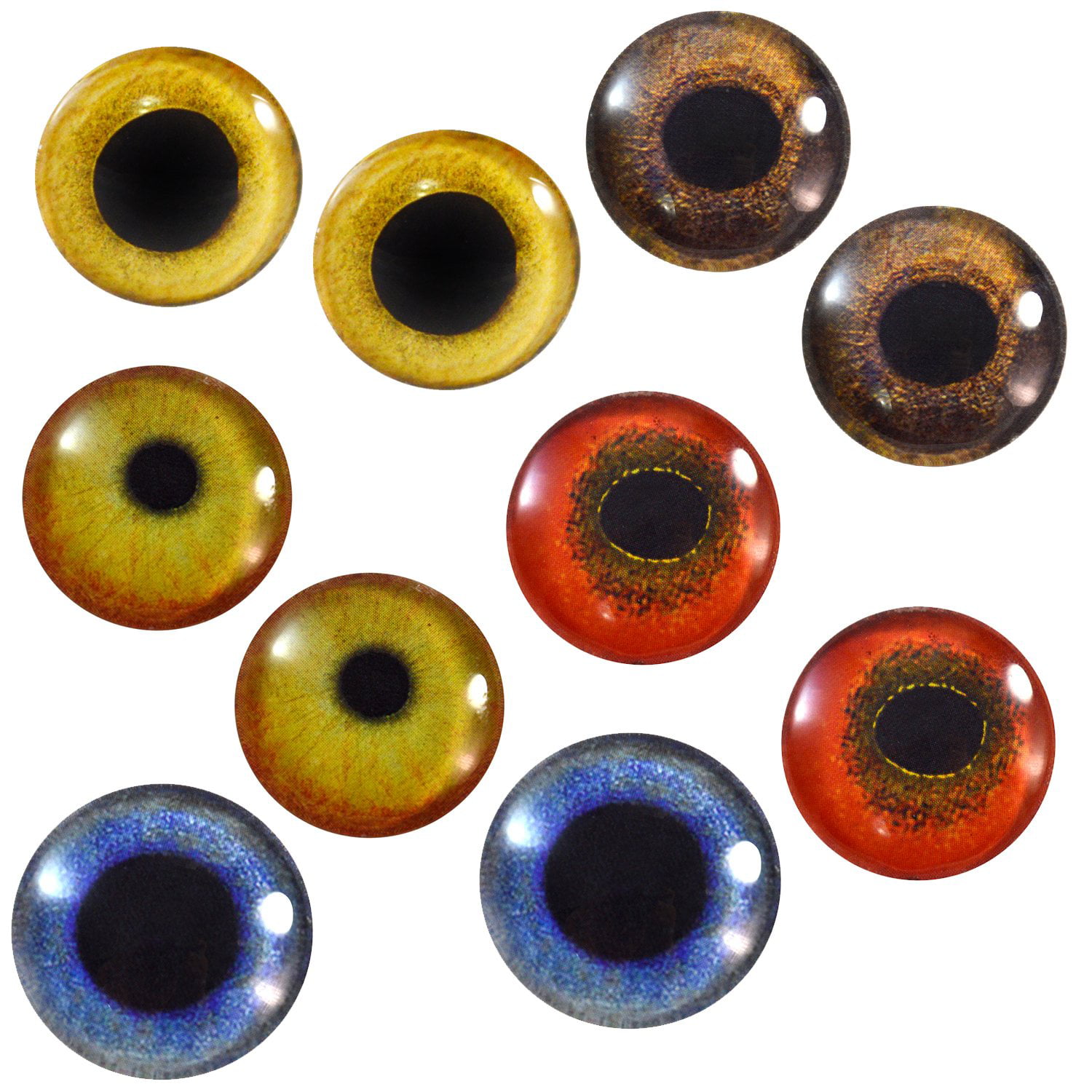 Pair of 40mm Blue Dog Animal Glass Eyes Cabochons Set Taxidermy Jewelry Making 
