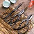 thumbnail image 3 of High Carbon Steel Garden Pruning Shears Profissional Root Cutter Bonsai Cutter Gardening Pruning Bonsai Scissors Grafting Tool, 3 of 9