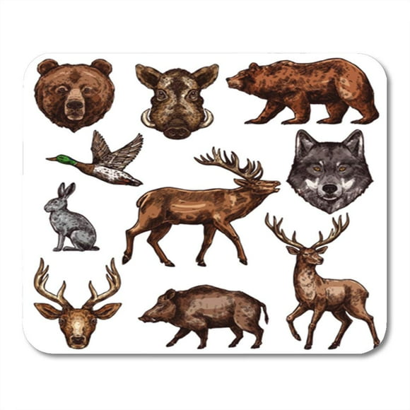 POGLIP and Bird Sketch of Wild Forest Bear Deer Mousepad Mouse Pad Mouse Mat 9x10 inch