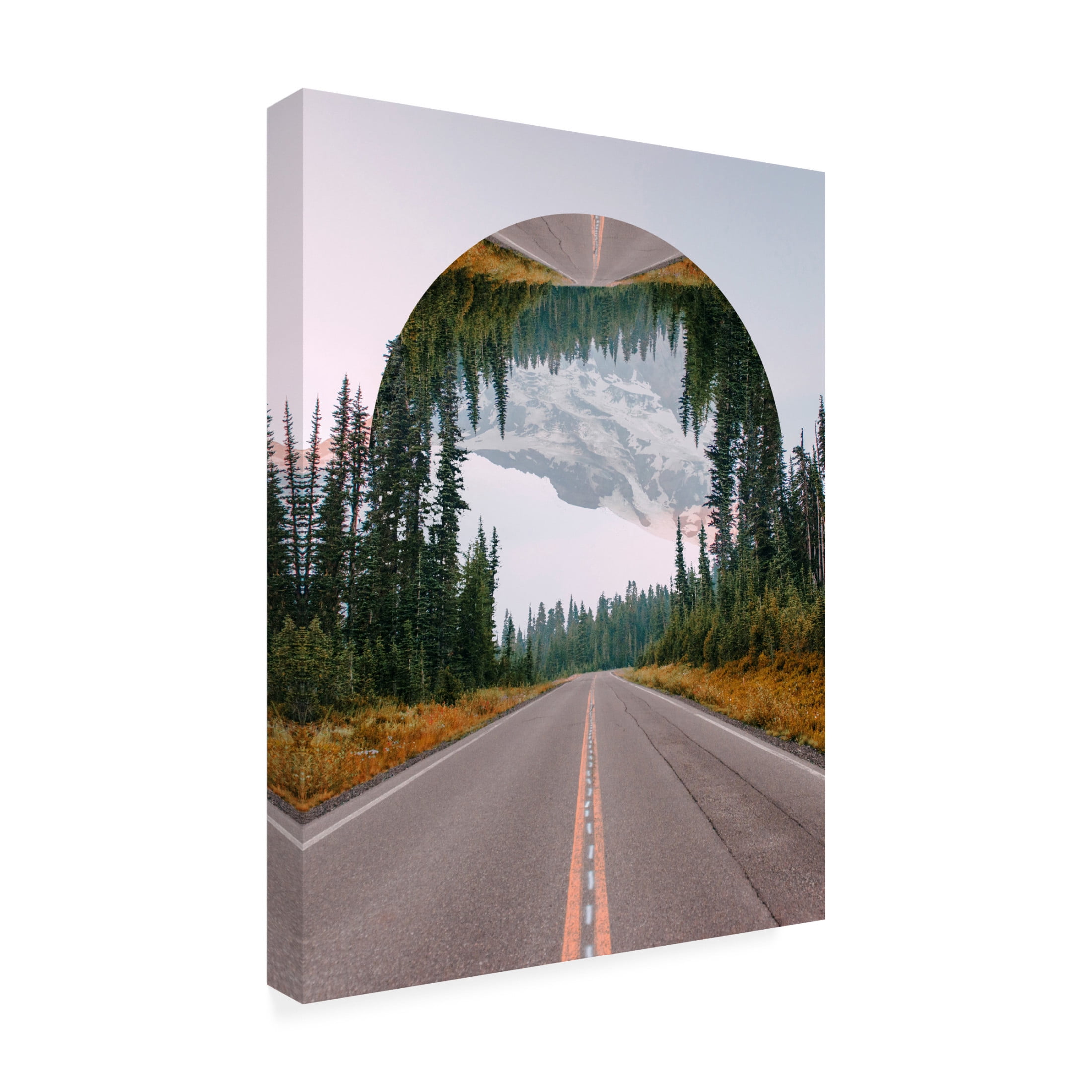 Trademark Fine Art Vision Studio  Western Treetops II Canvas Wall Art