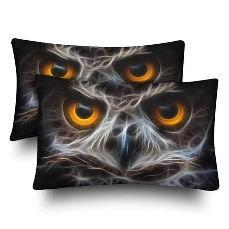 Gckg Owls Face Pillow Cases Pillowcase 20x30 Inches Set Of 2