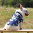 thumbnail image 5 of Camisa para perro con estampado de piñas ajustable para gato y cachorro, 5 of 5