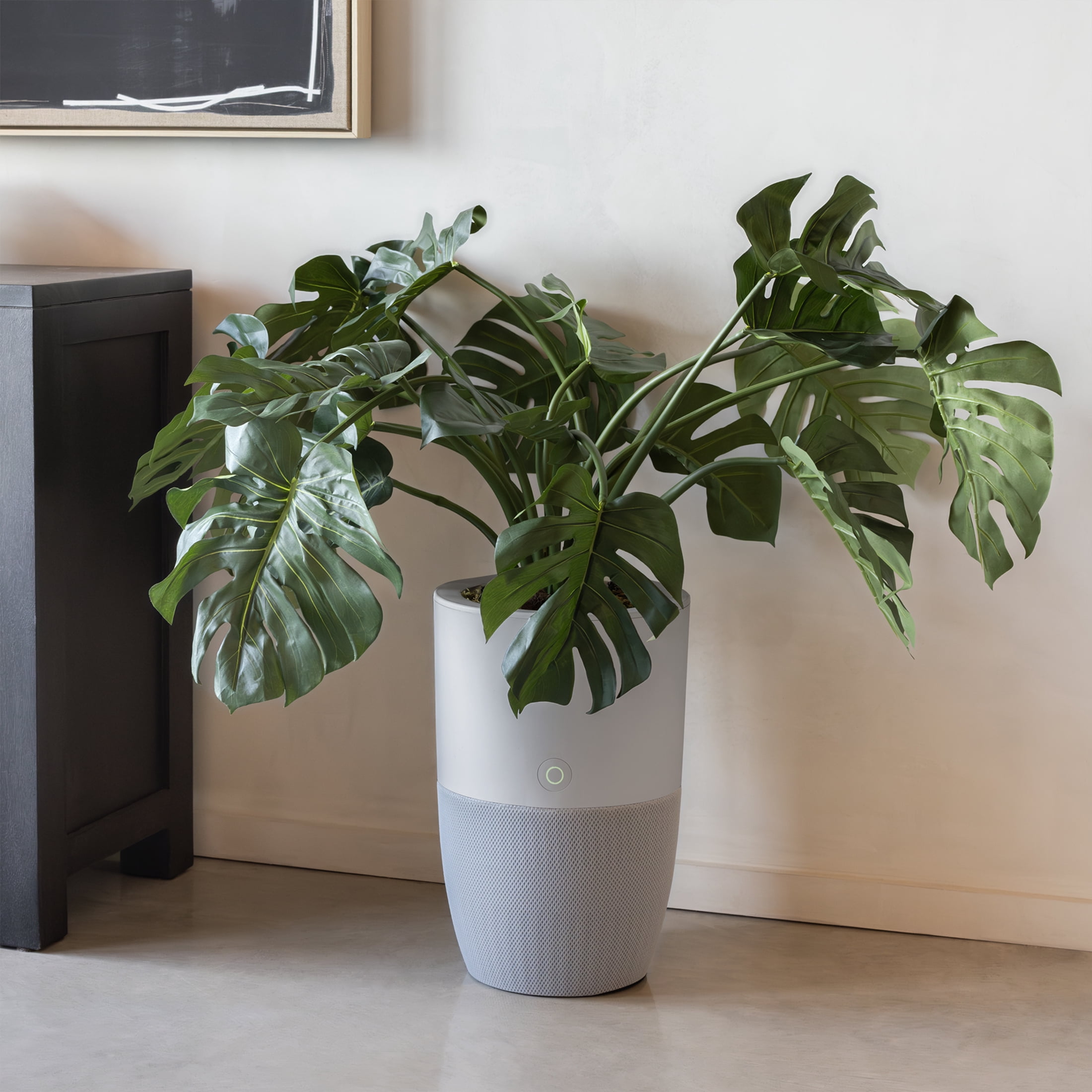 Dupray Bloom™ Smart Air Purifier, Gray Special Edition with Medical-Grade HEPA-13 Filter and Washable Pre-Filter