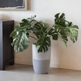 thumbnail image 6 of Dupray Bloom™ Smart Air Purifier, Gray Special Edition with Medical-Grade HEPA-13 Filter and Washable Pre-Filter, 6 of 9