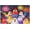 500 PCS, variant on 500 Piece Happy Chicken Rooster Funny Farm Animal Art Puzzle for Adults – Hard Thanksgiving Wall Decor Gift
