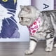 thumbnail image 2 of Zhuge Bandana para perros 1 pieza, mezcla de poliéster ligera de secado rápido, baberos tipo bufanda triangular, pañuelo ajustable para perros, regalo para mascotas, M, A16, 2 of 3