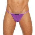 thumbnail image 3 of Men's Gregg Homme 96114 Wonder Microfiber Low Rise G-String (White M), 3 of 4