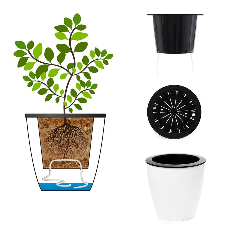 6 Pack 4.7 Inches Self Watering Planter Wicking Pots for Indoor Golden Devil's Ivy, African Violet, Ocean Spider Plant, Orchid, White Color 6 Pack 4.7 Inches Self Watering Planter Wicking Pots for Indoor Golden Devil's Ivy, African Violet, Ocean Spider Plant, Orchid, White Color