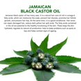thumbnail image 5 of Aliver Jamaican Black Castor Oil for Hair Health 60ml(2.02 fl.oz) Natural Moisturizer for Face, Body & Nails, Carrier Oil for Essential Oils and DIY Beauty - 3pack, 5 of 10