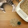 thumbnail image 5 of Casual Home Non-Clumping Cat Litter Wood Pellets, 100% Natural Pine Wood, 5 of 9