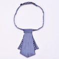 thumbnail image 3 of LinYooLi Reversible Bowknot Short Neck Ties Adjustable Pre-tied for Woman Business Uniform Bowtie Work Ceremony Accessories, 3 of 5