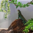 thumbnail image 4 of AURARMLET 3Ud Decorativas Con Ventosa Para Reptiles Y Geckos Color Textura, 4 of 6