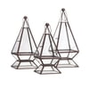 Laurel Terrariums - Set of 3