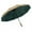 Green, variant on Automatic Folding Sun Umbrella Titanium Metallic Rain Anti UV Protection Travel Portable 10 Ribs Windproof Umbrella