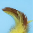 thumbnail image 4 of Cat Play Toy, Colorful Cat Play Toy, Colorful Rattan Balls Kitten For Cats, 4 of 8