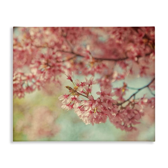 Stupell Industries Shabby Chic Pink Cherry Blossoms Canvas Art, 30 x 24, by Carrie Ann Grippo-Pike