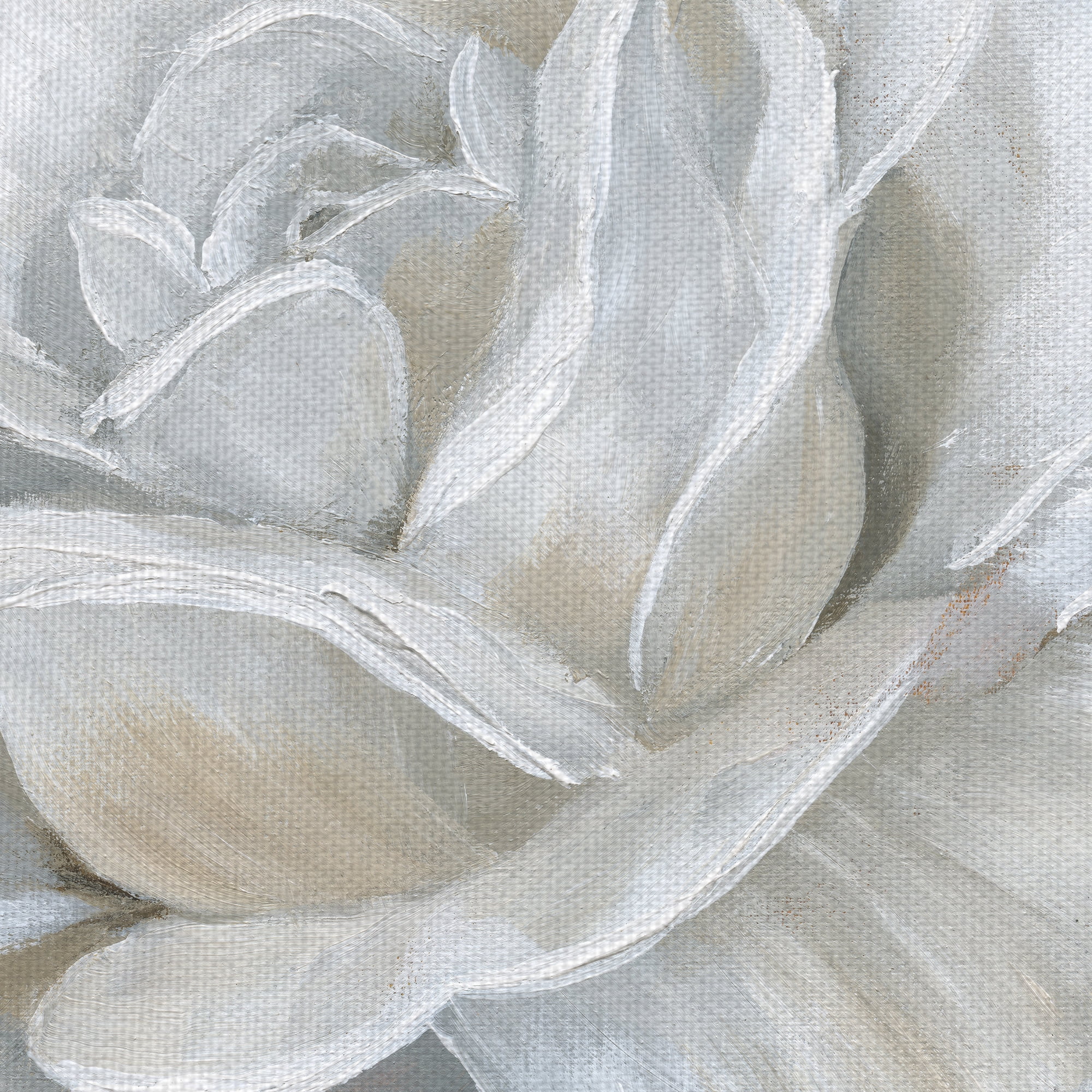 Masterpiece Art Gallery Bombshell Bloom II Roses By Nan Canvas Art Print 30" x 30"