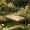 Khaki, variant on Porch Swing Cushions 19.69×39.37In Tufted Bench Cushion for Outdoor Furniture, Waterproof Thick Replacement Pad with Fixing Ties, Soft Resilient Seat Mat for Patio, Terrace, Window & Indoor Sofa Use