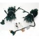 thumbnail image 4 of Holiday Wonderland Juego de luces navideñas transparentes de 100 unidades, cable verde Xemadio CJWUS-5609, 4 of 4