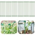 GGdda Protective Cover 20 Pack Plant Support Stakes Upgrade Plant