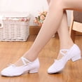 thumbnail image 4 of Hinvhai Womens Versatile Plus Size Adult Soft-Soled Heeled Ballet Shoes for Spring Summer Lace up Dance Canvas White 7(39), 4 of 9