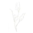 thumbnail image 1 of Ramas artificiales de simulación creativa, pequeñas ramas de árbol, adorno decorativo blanco, 1 of 8