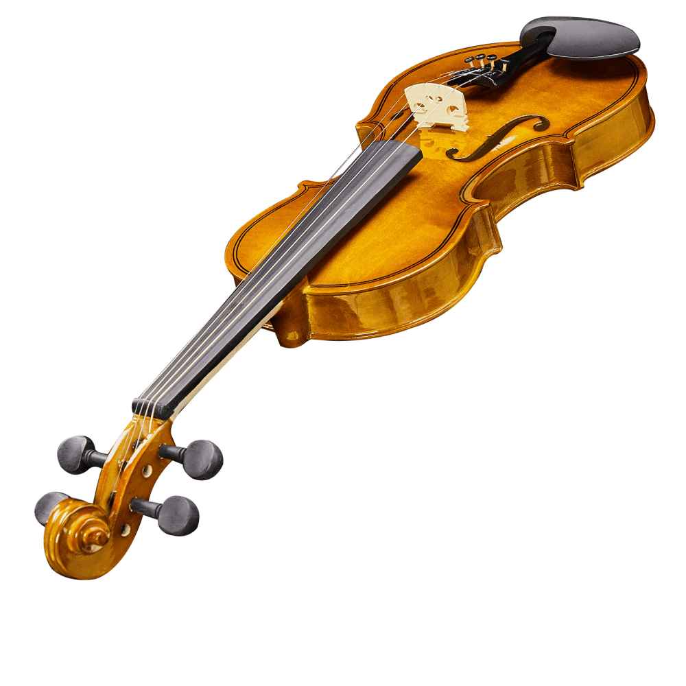 Tcbosik 1/8 Acoustic Violin Starter Kit with Case, Bow, Rosin, Fiddle Beginner Set with Sourdine, Extra Strings and Shoulder Rest, Natural