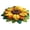 Sunflower C#003, variant on 3d Optical Illusion Rugs, Realistic Floor Mat with Dimensional Look Easy Clean Non-Slip Doormat Bathroom, Stairs, Playroom, Living Room