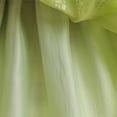 thumbnail image 6 of Green Costume with Wig for Girls Fairy Cosplay Dress Up for 18M-6Y, 6 of 7