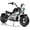 Black, variant on Akaber Kids Electric Dirt Bike, 24V Mototec Ride On Motorbike for Ages 8-14, 250W Kids Motorcycle up to 12.5 MPH, 10 Miles Range