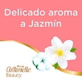 thumbnail image 2 of Kleenex Cottonelle Beauty, Papel higi&eacute;nico, Aroma a Jazm&iacute;n, Paquete de 32 rollos con 408 Hojas Dobles. Kleenex Cottonelle NA, 2 of 4