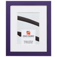 thumbnail image 1 of Craig Frames Confetti, 14 x 20 Inch Modern Purple Picture Frame Matted to Display a 11 x 17 Inch Photo, 1 of 4