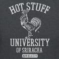 thumbnail image 3 of Teelocity Sriracha Hot Stuff University Graphic T-Shirt (Large - Standard Fit, Charcoal Heather), 3 of 4