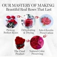 thumbnail image 6 of GLAMOUR BOUTIQUE 7-Piece Forever Flowers Heart Shape Box - Preserved Roses, Immortal Roses That Last A Year - Eternal Rose Preserved Flowers for Delivery Prime Mothers Day & Valentines Day - Red, 6 of 9