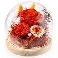 thumbnail image 1 of Rosa preservada FIACO Forever Fresh Flowers en cúpula de cristal, 1 of 6