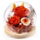 thumbnail image 1 of Rosa preservada FIACO Forever Fresh Flowers en cúpula de cristal, 1 of 6