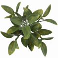 thumbnail image 3 of Pic vert artificiel de Lerman Decor, 3 of 5