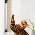 thumbnail image 1 of Rascador de pared para gatos BEBOBLY para gatos de interior, 1 of 7