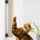 thumbnail image 1 of Rascador de pared para gatos BEBOBLY para gatos de interior, 1 of 7