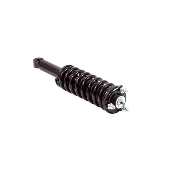 Front Suspension Strut and Coil Spring Assembly