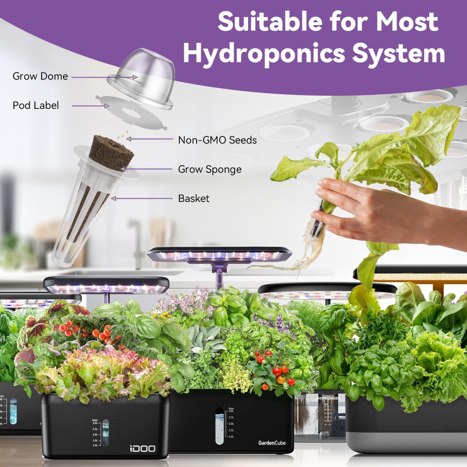 Plant Growing Kit Lettuce 12Pod for Hydroponic Systems