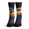 thumbnail image 2 of Function - Galaxy Dark Dog Fashion Socks, 2 of 4