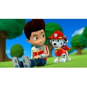 Paw Patrol (DVD), Nickelodeon, Kids & Family