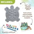 thumbnail image 2 of Paint-Your-Own Stepping Stone: Turtle, 2 of 6