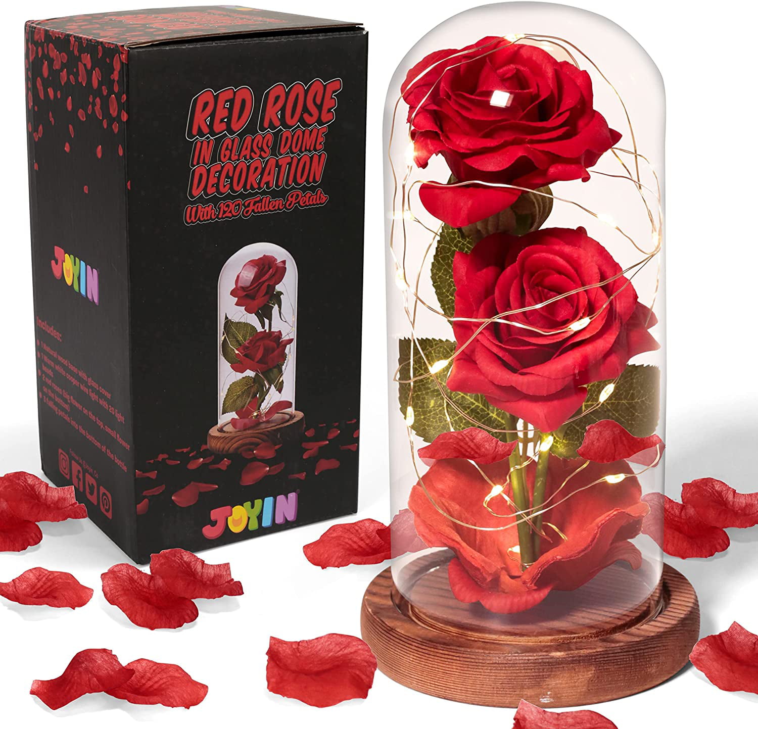 WR Enchanted Forever Rose Flower In Glass Dome Birthday Valentines Day Gifts 