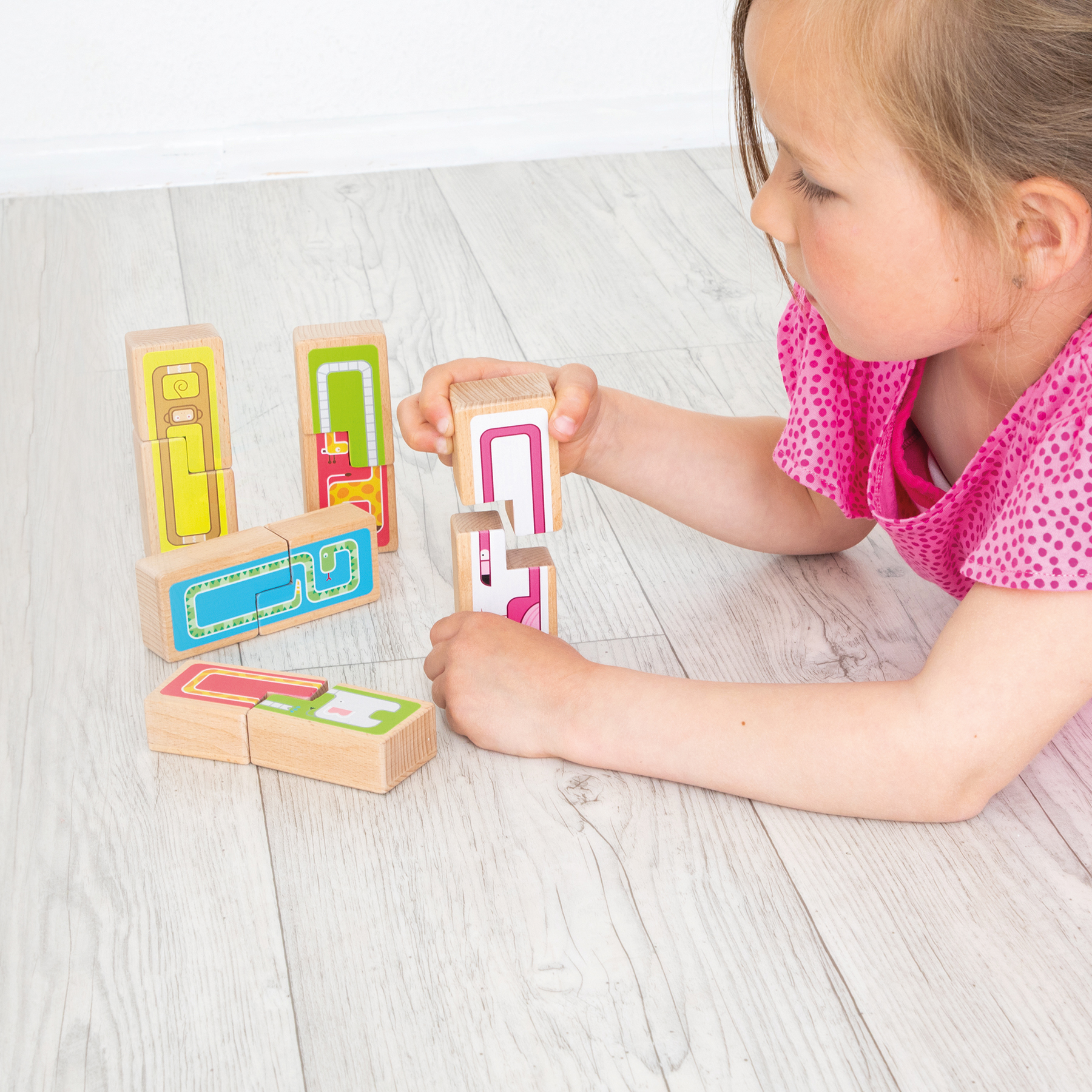 Beleduc Impuzzible Game