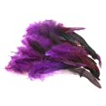 thumbnail image 4 of 50 Pcs Plumes Ailes Plumes Coussin Plumes Bijoux, 4 of 7